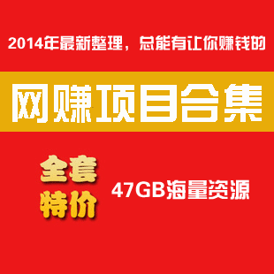 最新网站教程 网赚项目合集大全47G－2014年店主最新整理，总有能让你赚钱的(tbd)